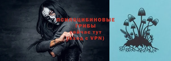 Альфа ПВП Бугульма