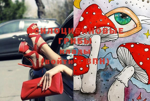 твердый Верхний Тагил