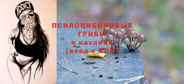 Альфа ПВП Бугульма
